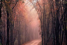 地方配资网:股票配资平台官网平台网址-稳中求进 稳中提质 迈向高质量发展新征程——交通银行发布2025年半年度业绩